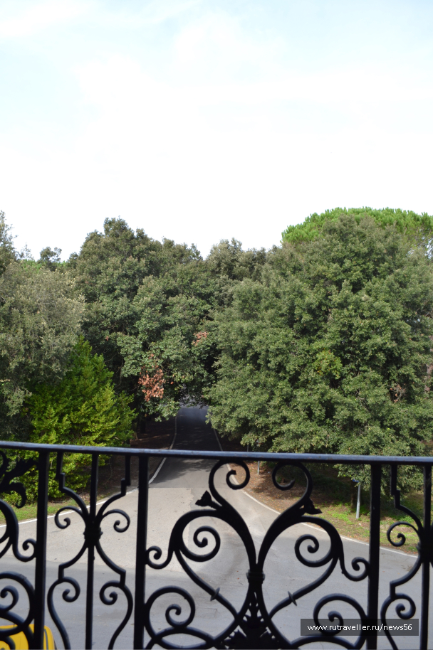 photo 1412745