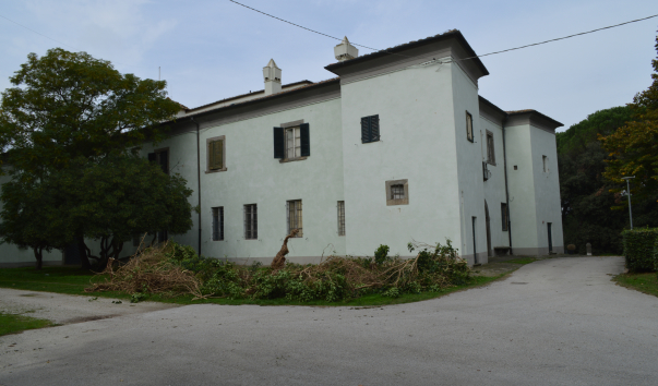 Coltano 014