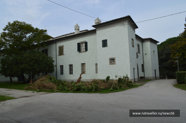 photo 1412776