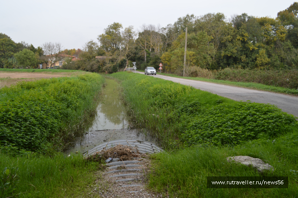 photo 1412779