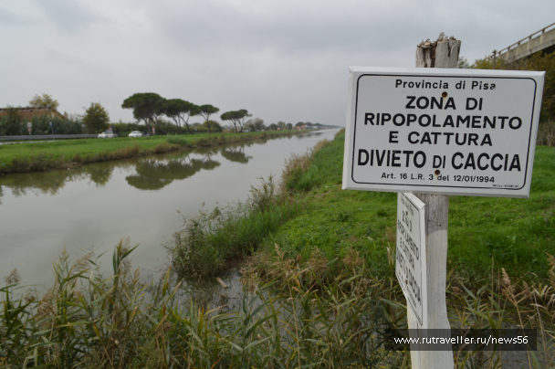 photo 1412780