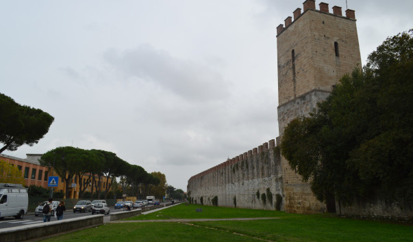 Piza 010