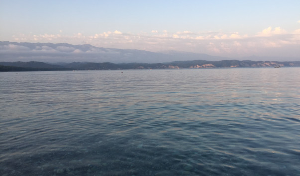 060817_010_�������