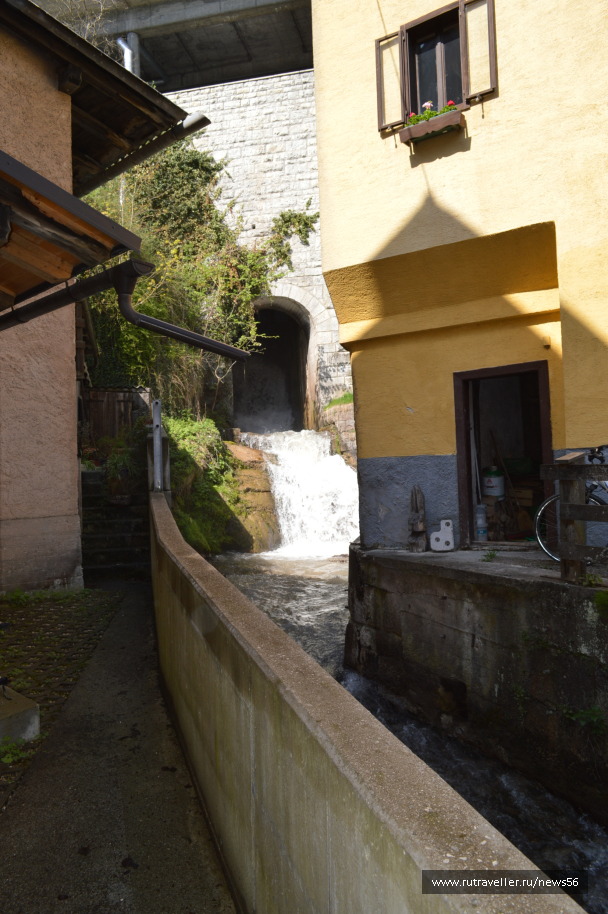 photo 1659871