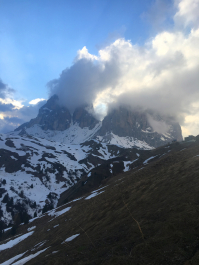 photo 1660313