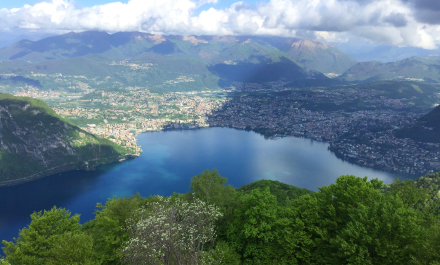 photo 1661788