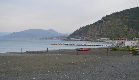 photo 1662754