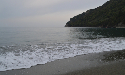 photo 1662759