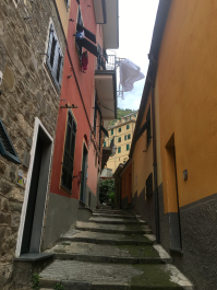 photo 1662860