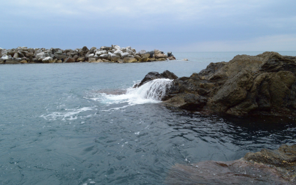 photo 1663188