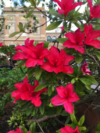 photo 1663728