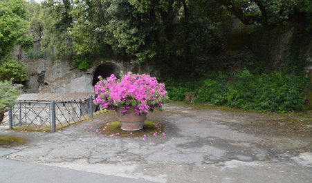 photo 1664455