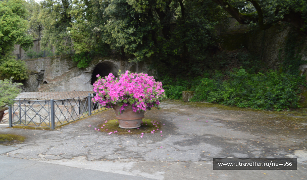 photo 1664455