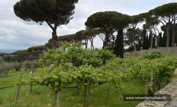 photo 1664473