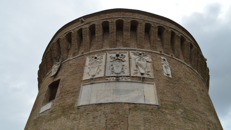 photo 1664558