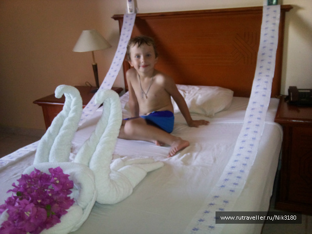 photo 377902