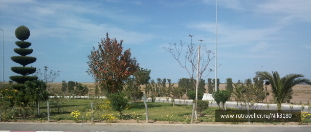 photo 183733