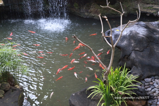 photo 110351