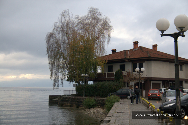 photo 110473