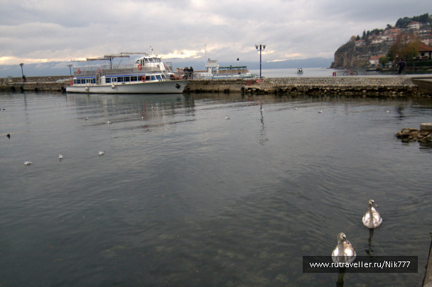 photo 110478