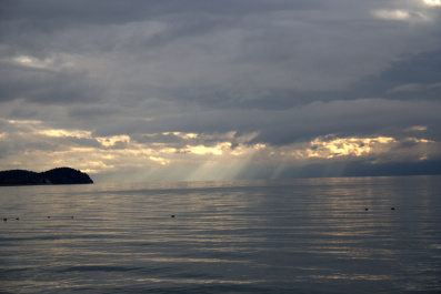 photo 110483