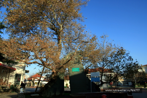 photo 110511