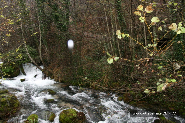 photo 110530