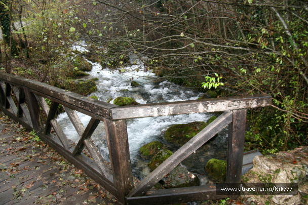 photo 110534