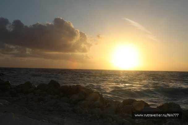photo 330063