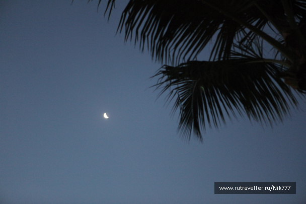 photo 330074