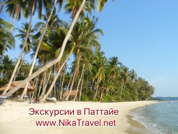 photo 1370576