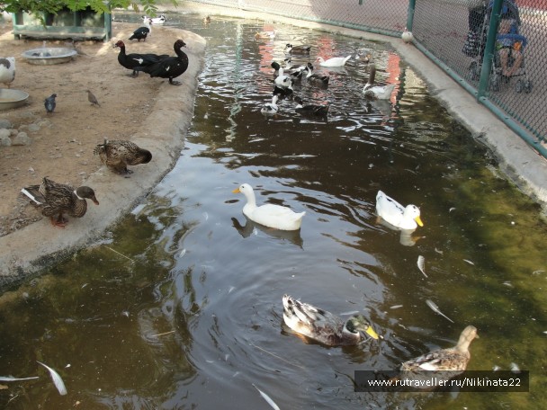 photo 356826