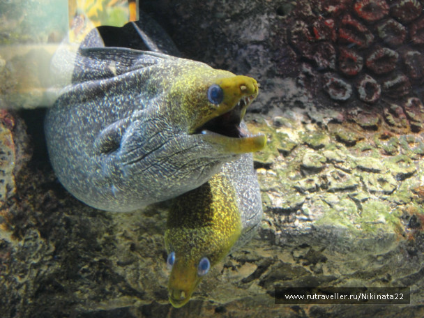 photo 357695