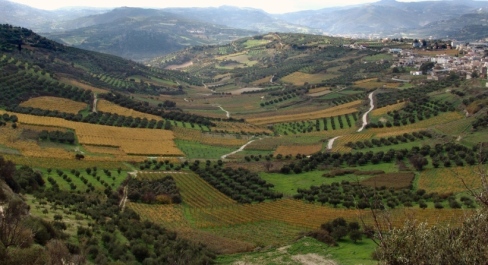 photo 287683