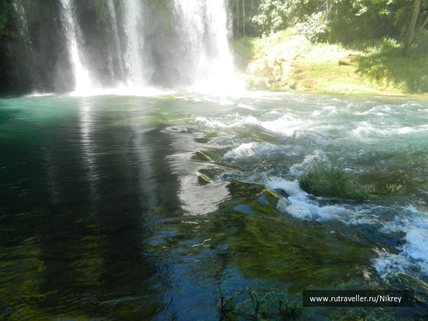 photo 257578