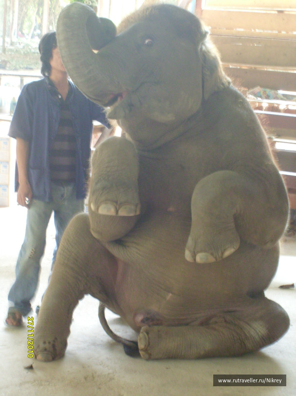 photo 257588