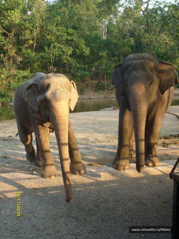 photo 257590
