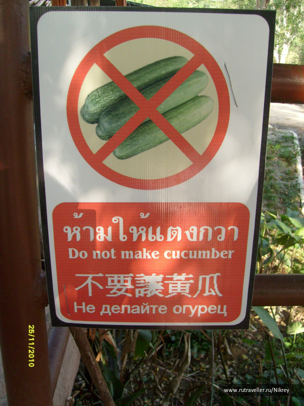 photo 257592