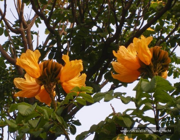 photo 880864