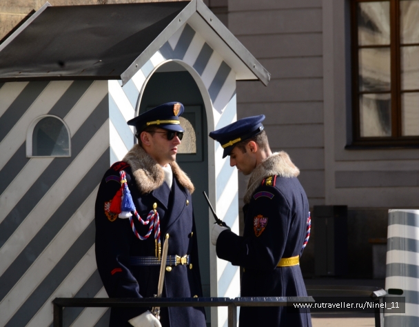 photo 817981