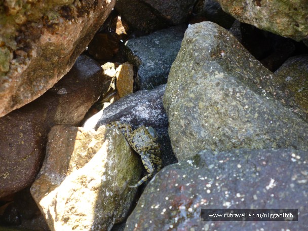 photo 761277