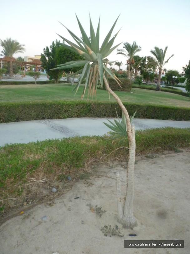 photo 770620