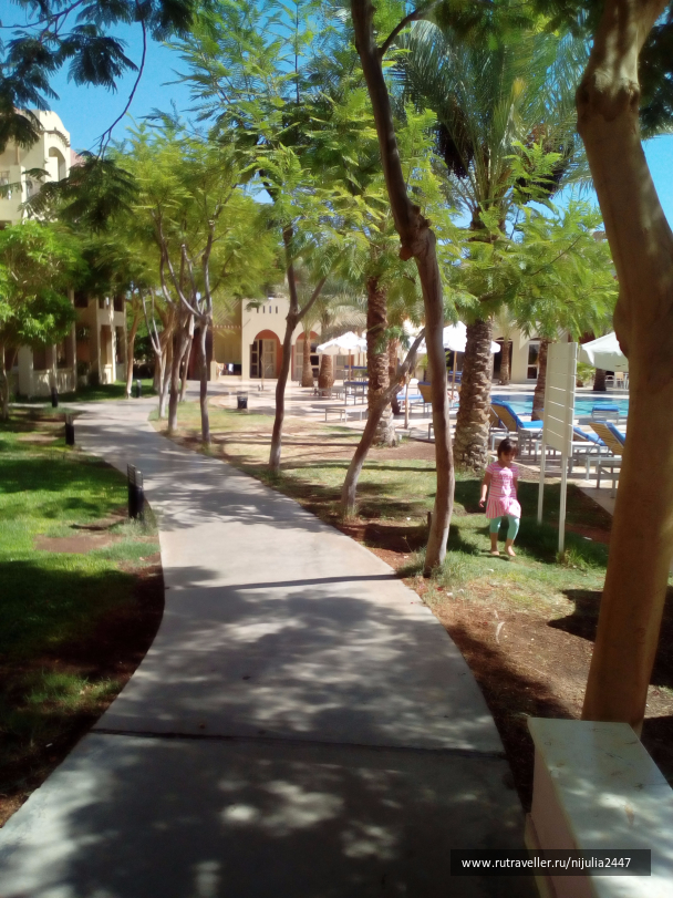 photo 1470662