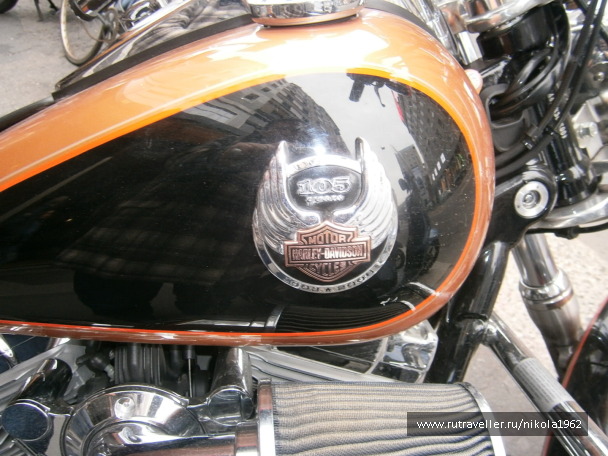 photo 1212981