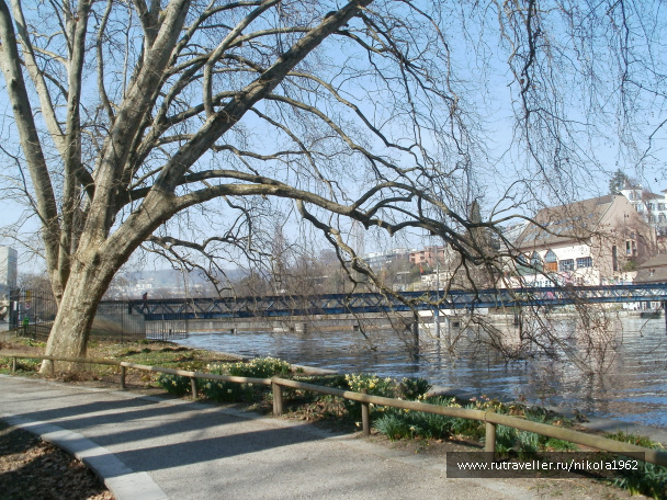 photo 237660