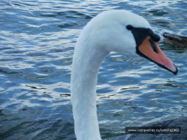 photo 237693