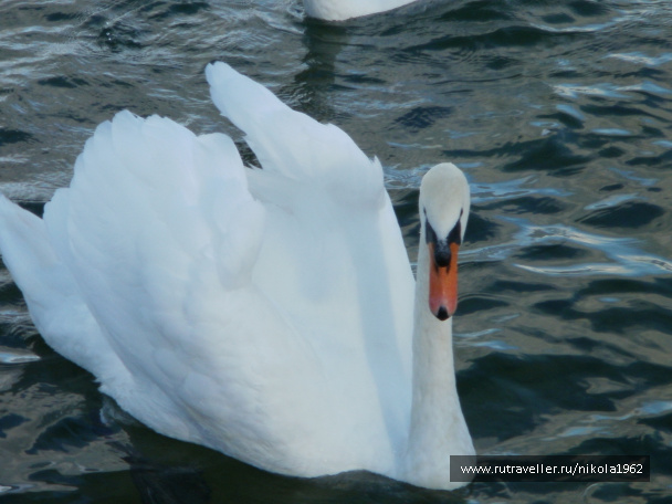 photo 237695