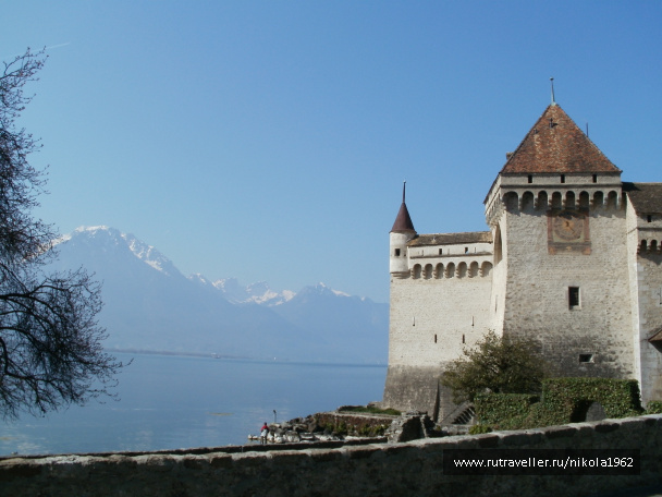 photo 237732