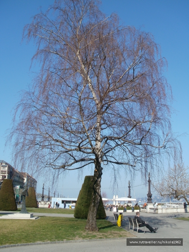 photo 237730