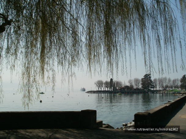 photo 257492